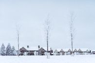 Community Frost