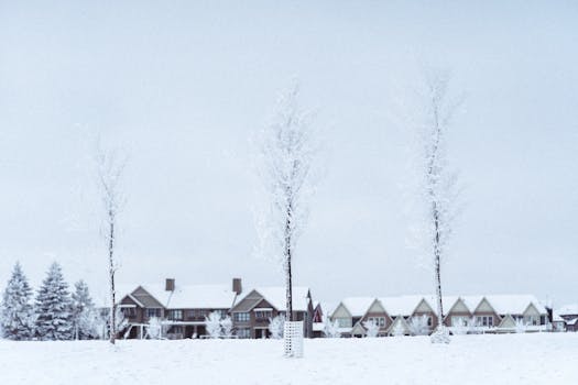 Charming winter view of snow-covered houses and frosted trees in a quiet neighborhood.