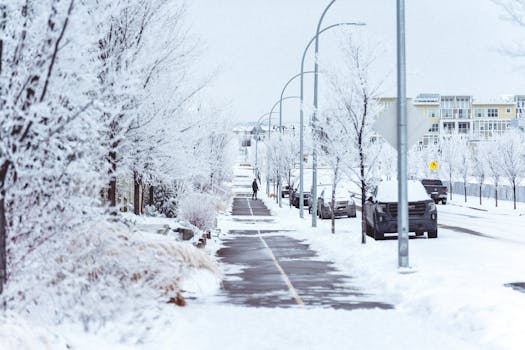 A serene winter cityscape featuring a snow-covered street lined with frosty trees and parked cars, with one person walking.