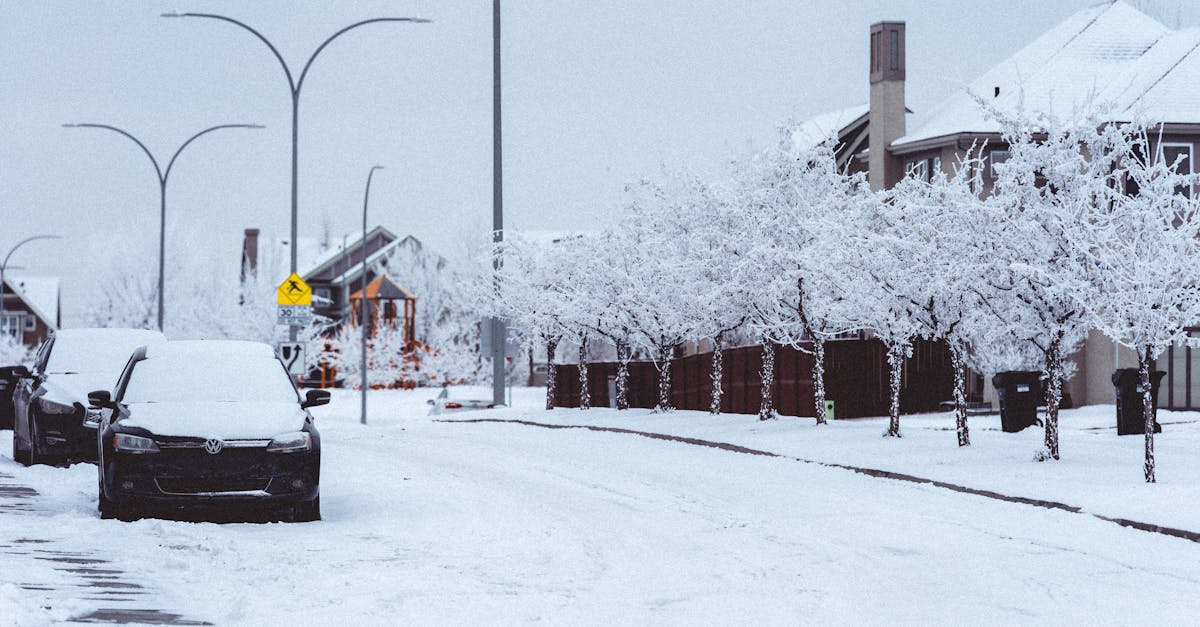 國際:美國中北部冬季風暴來襲 影響約1,400萬人生活