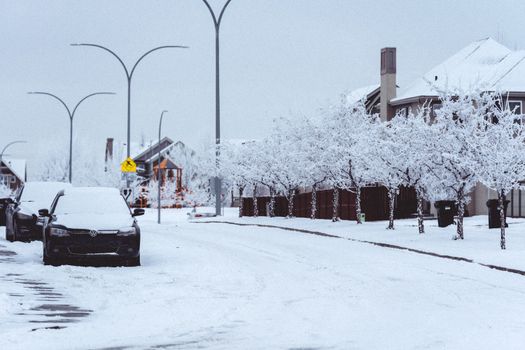 snow covered parking