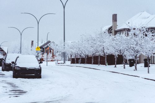 Free A serene snowy street scene with parked cars and frosted trees in winter. Stock Photo