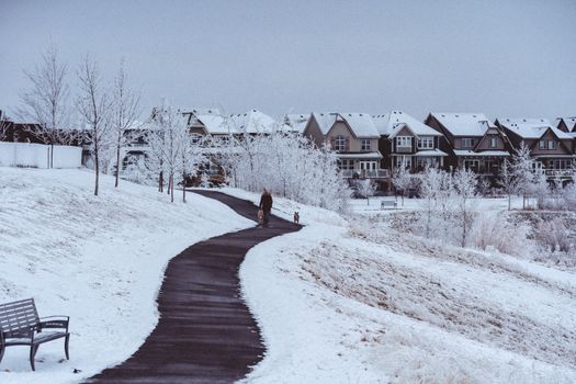calgary home
