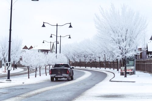 Free A pickup truck drives on a snowy road lined with frost-covered trees, creating a serene winter scene. Stock Photo