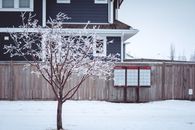 Canada Post Winter