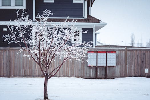 A leafless tree with frost against a snowy background and a fenced residence.