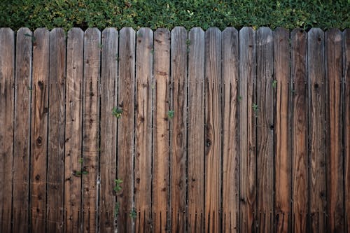 Photos gratuites de barrière, bois, clôture en bois