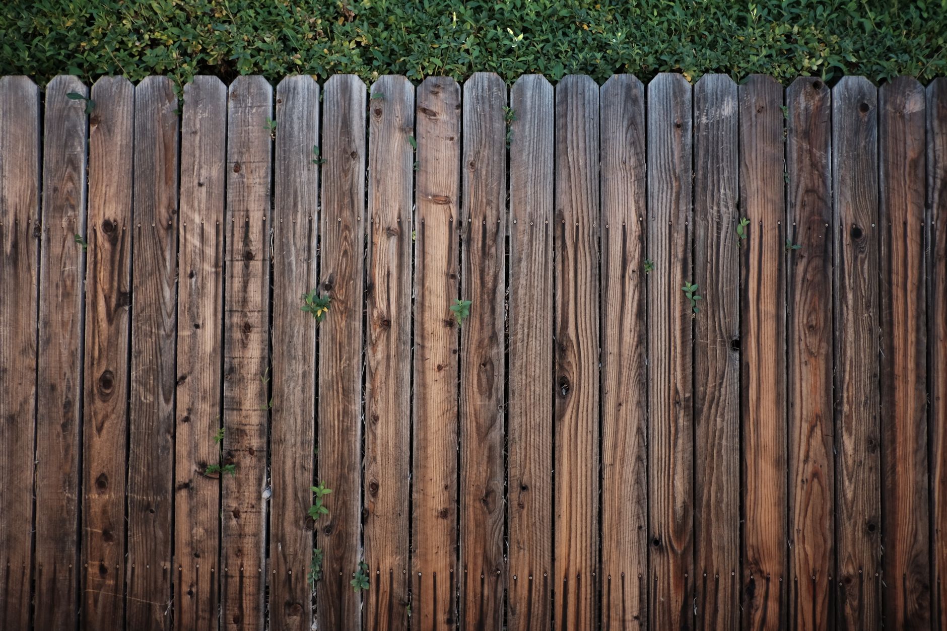 A wooden fence line running across a property
