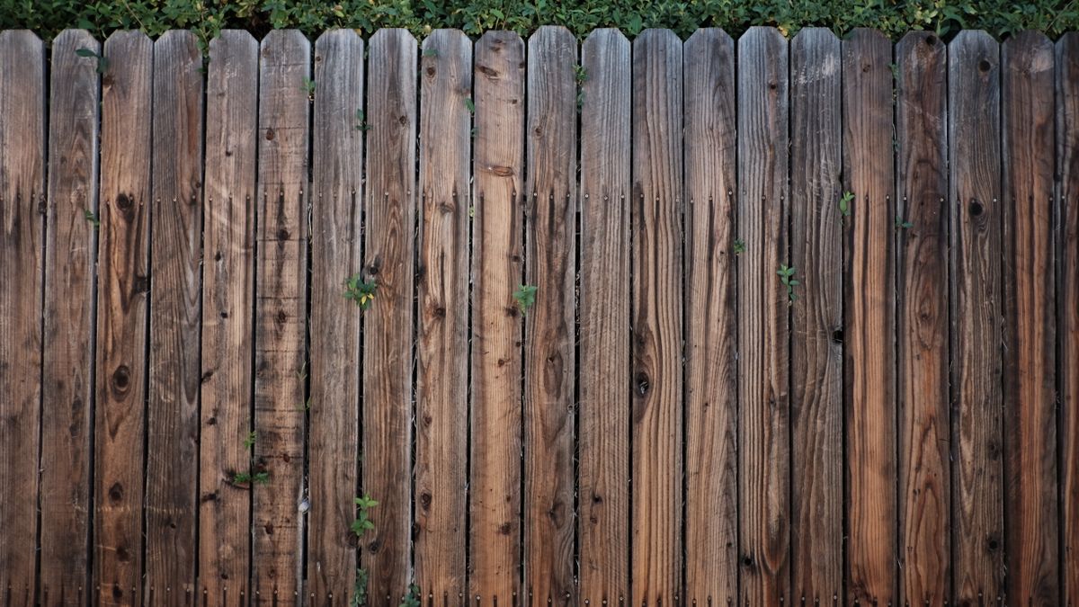 A weathered wooden fence with foliage growing through it.