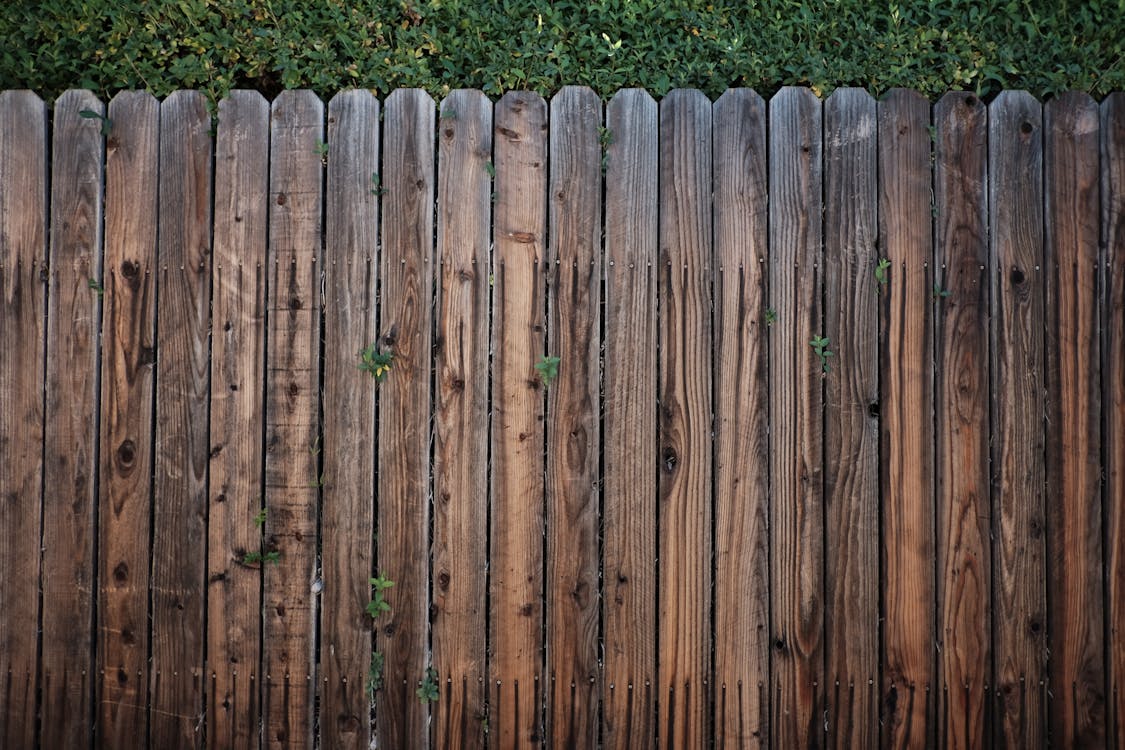 Free Brown Wooden Fence Stock Photo