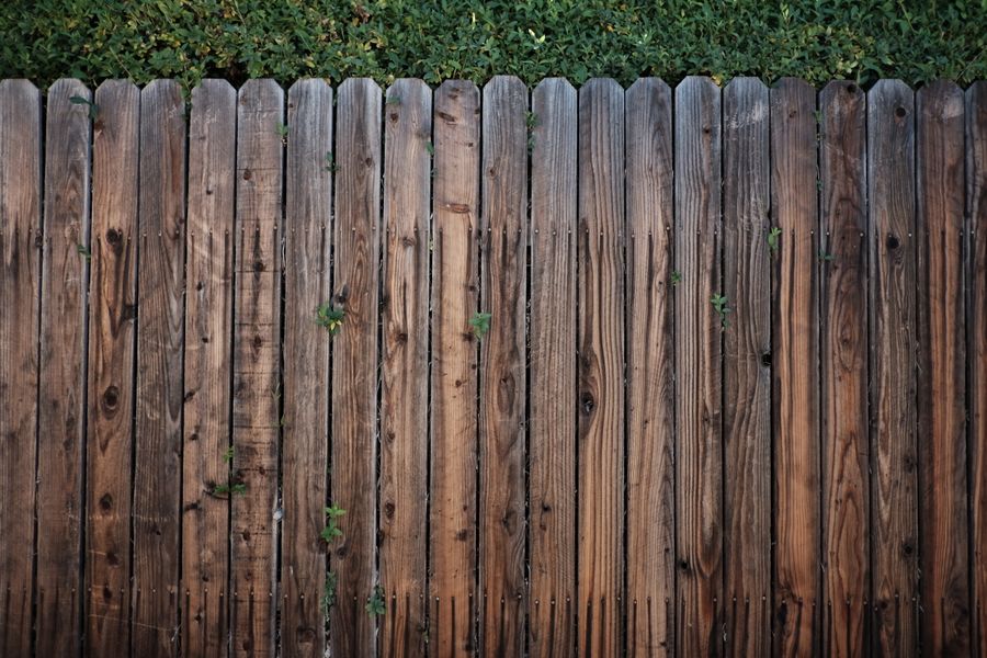 New cedar fence line