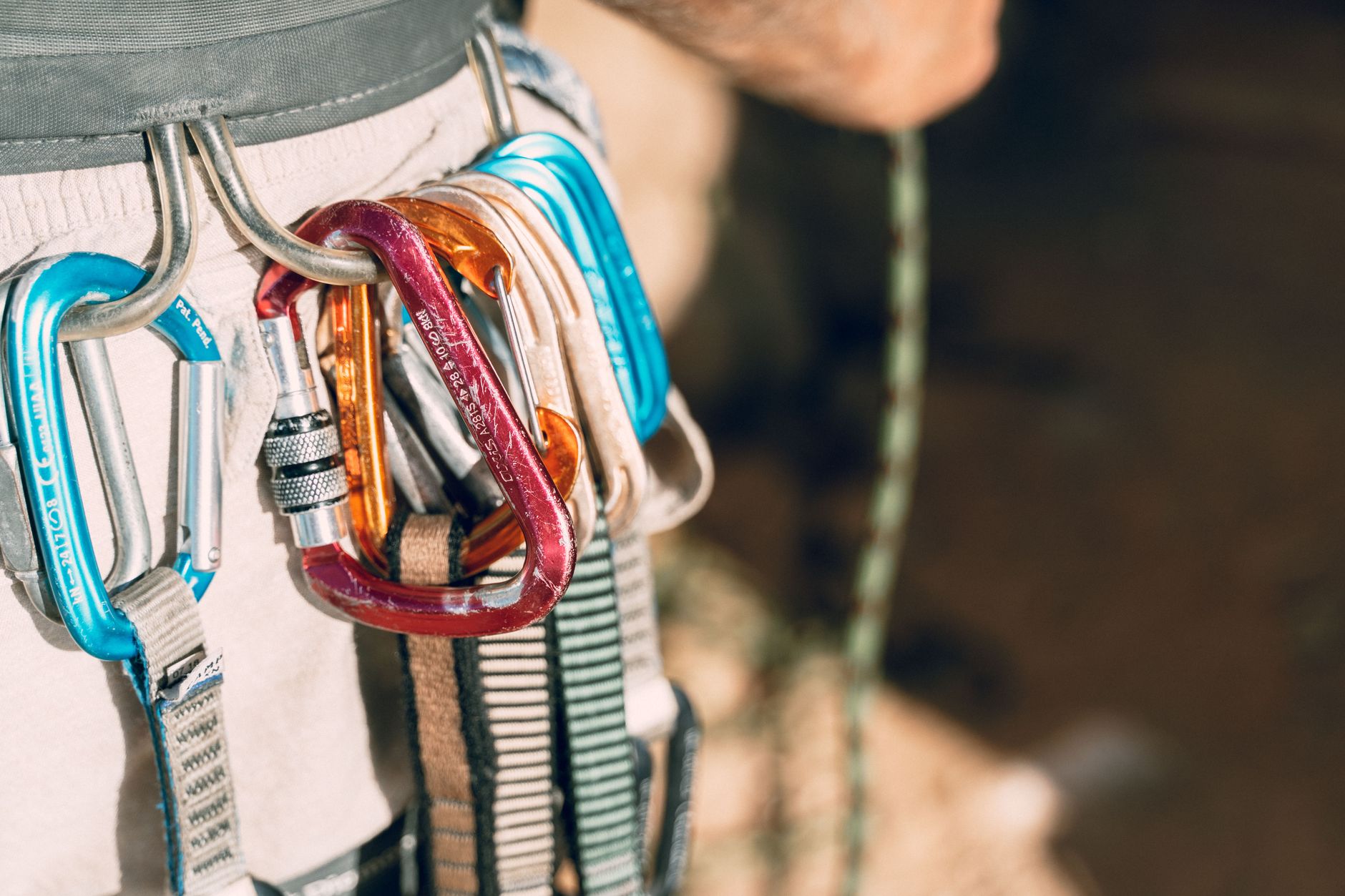 Detailed shot of climbing equipment with various carabiners attached to harness.