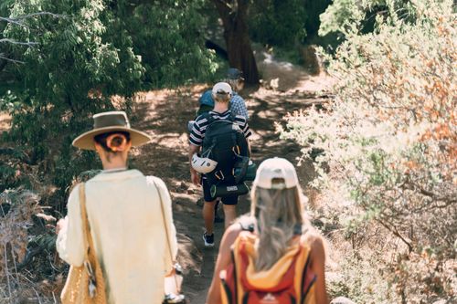 Free A group of adults hiking on a sunny day through a forested path showcasing adventure and exploration. Stock Photo