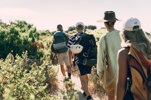 Free Group of Backpackers Walking  Stock Photo