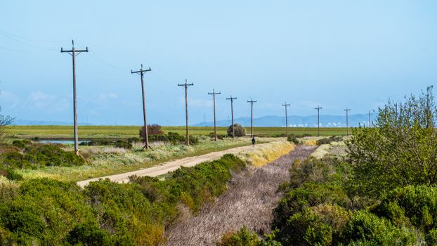 Unpaved Pathway on Green Grass Field Under Blue Sky