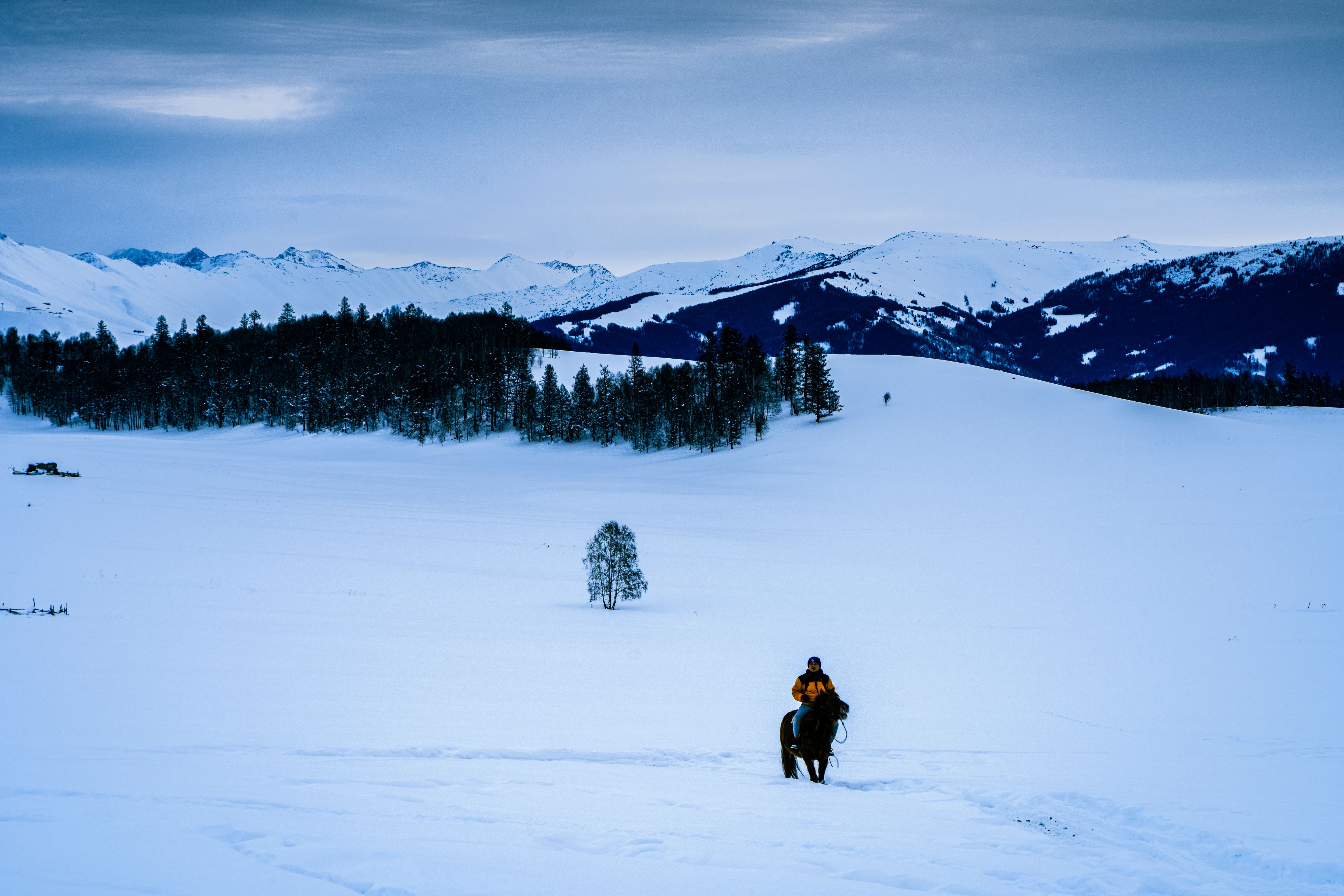 Snow Riding Photos, Download The BEST Free Snow Riding Stock Photos ...
