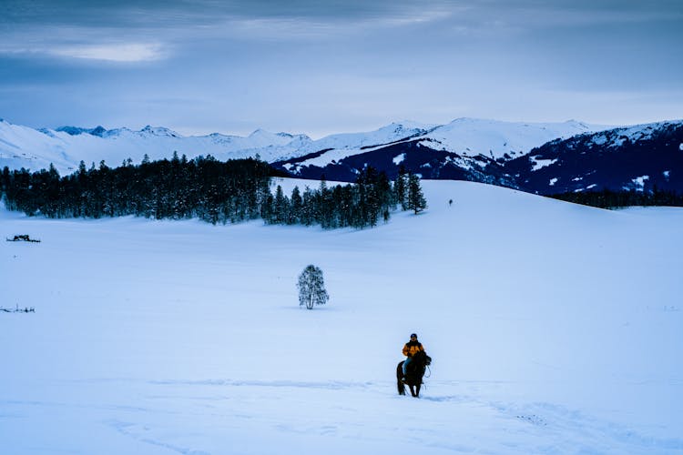 Person In Yellow Jacket Riding A Horse On Snow Covered Field