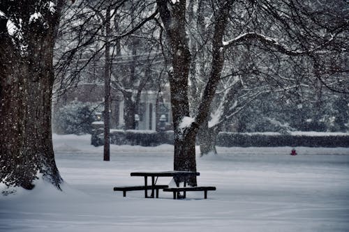 Free Bench on Snow Covered Ground Stock Photo