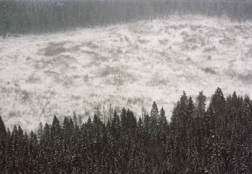 Free Aerial shot of a snow-covered forest and field in Serpukhov, Russia, showcasing a winter wonderland. Stock Photo