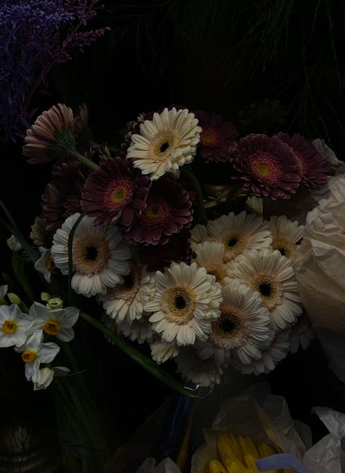 Bezpłatne Darmowe zdjęcie z galerii z bukiet kwiatów, delikatny, gerbera Zdjęcie z galerii