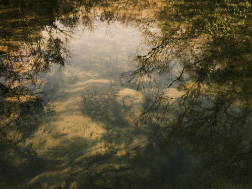 Free Calm reflection of trees on a clear lake creates a peaceful nature scene. Stock Photo