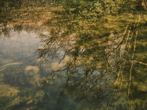 Free A calming reflection of trees on a clear lake surface, evoking peace and nature's beauty. Stock Photo