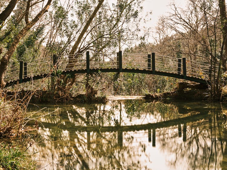 Bridge Over A River