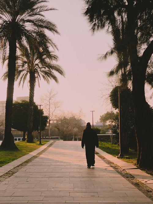 Free A lone figure walks down a palm-lined path at dawn, surrounded by a tranquil atmosphere. Stock Photo