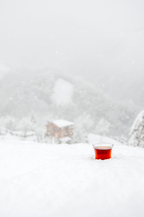 Photos gratuites de boire, chute de neige, froid