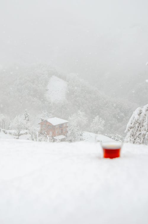 Gratuit Photos gratuites de brillant, chute de neige, cime Photos
