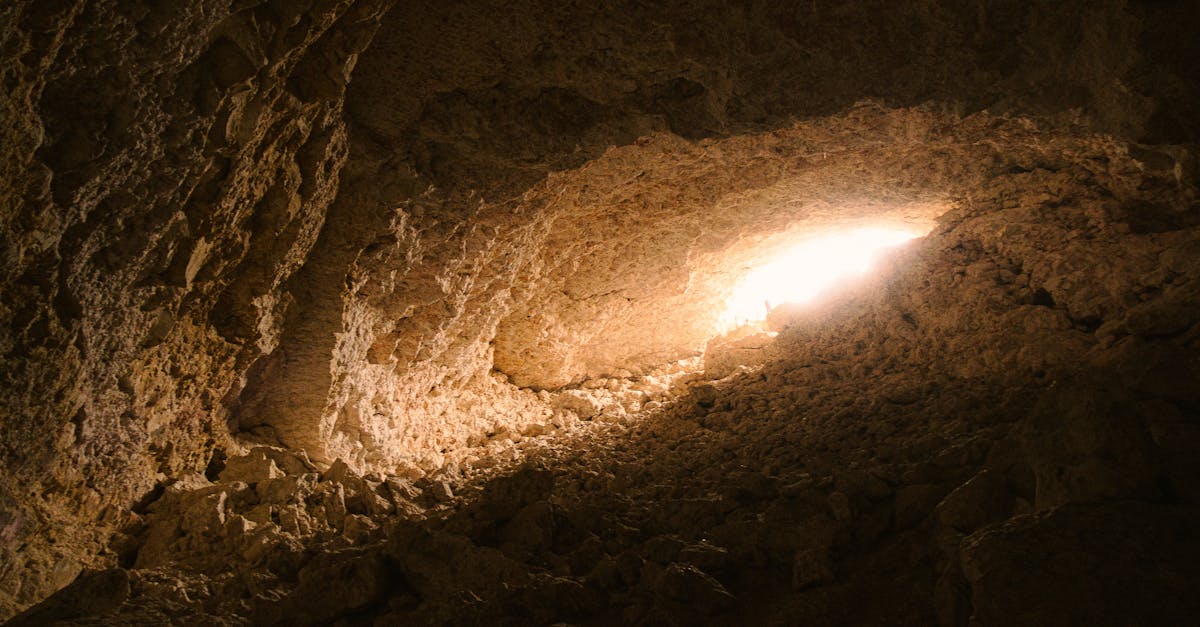 The Echo Bloom 1 image text