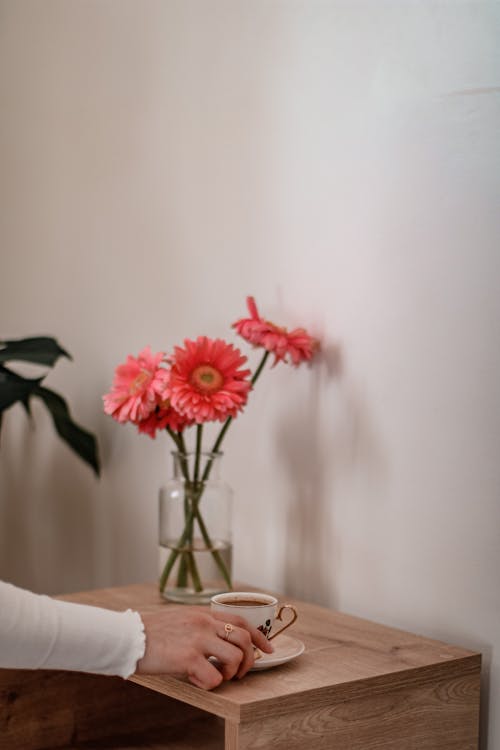 Gratis lagerfoto af blomstervase, fingre, glas vas
