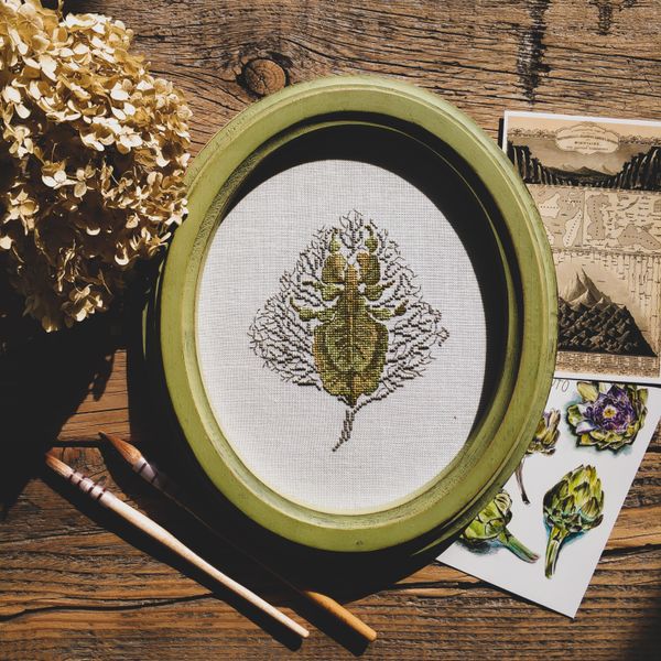 48 botanical line art prints, photo by Olga Kalinina on Pexels
