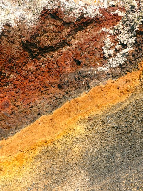 Understanding Soil Composition for Vibrant Vegetable Growth