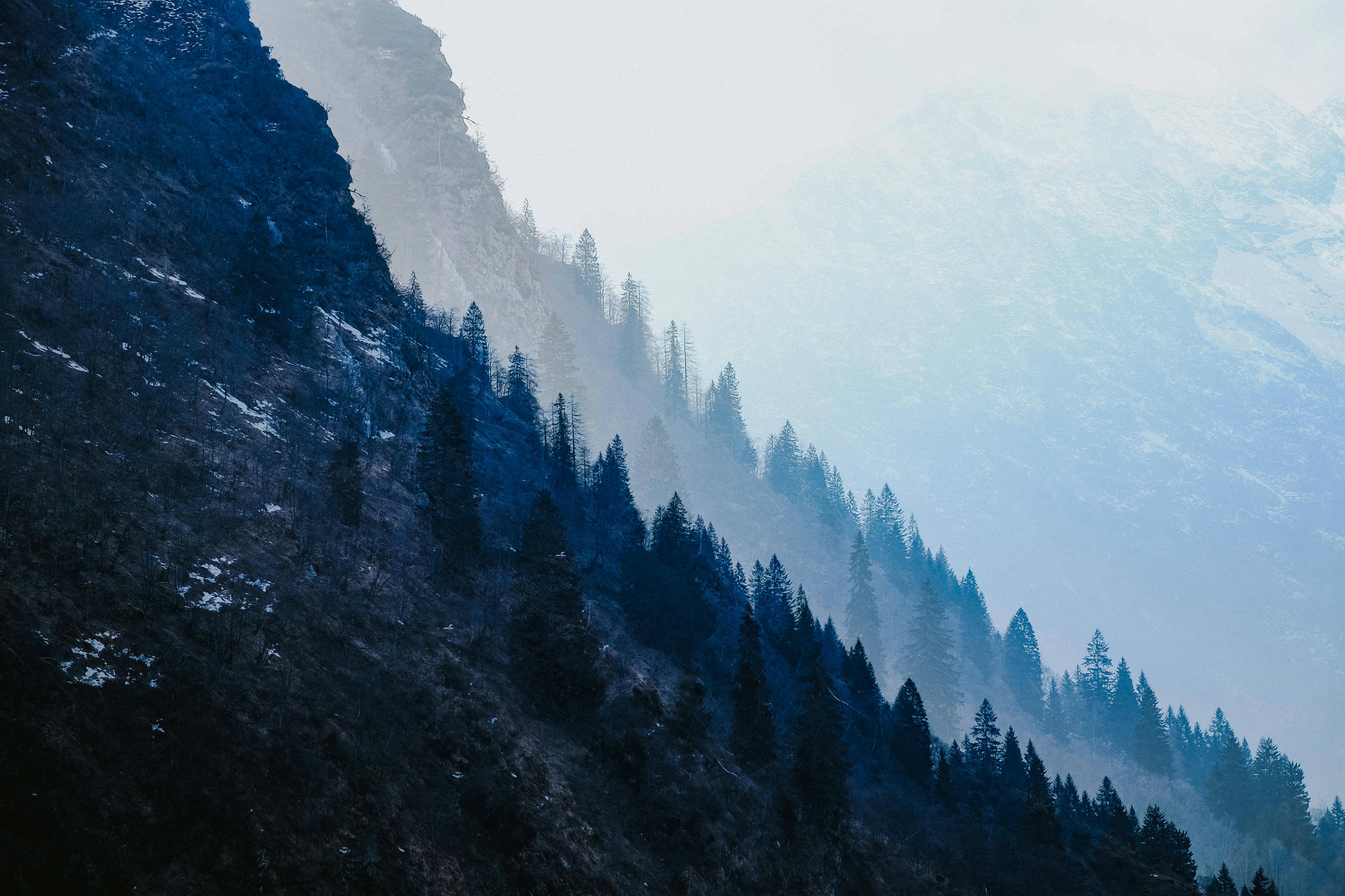 Comment choisir un store banne double pente 