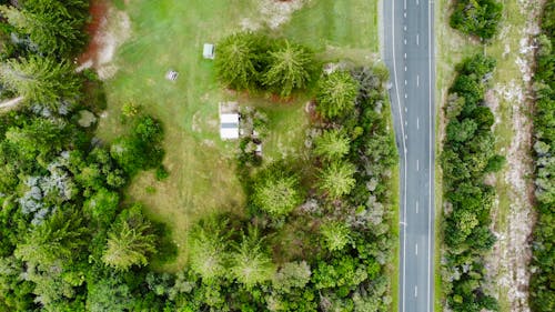 Aerial View of a Paved Road near the Trees