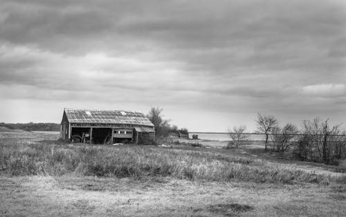 Free Grayscale Photography of Barn on Grass Field Stock Photo