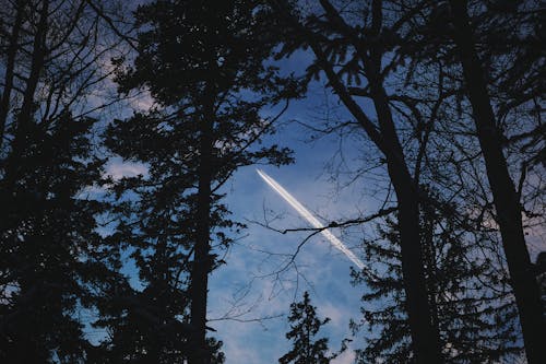 Fotos de stock gratuitas de avión, bosque montañoso, cielo de la tarde