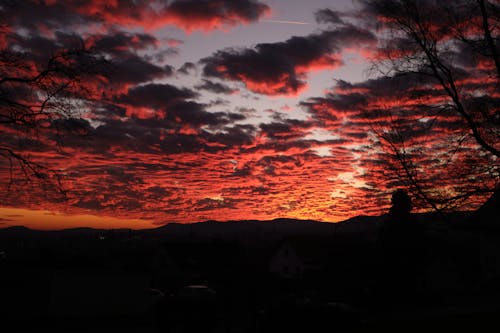 Fotos de stock gratuitas de bajo las nubes, cielo de la tarde, cielo Rojo