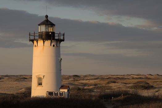 Cape Cod day trip with lobster — Boston