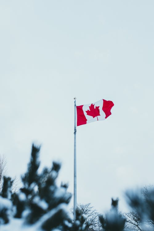 Foto stok gratis banner, bendera, bendera kanada