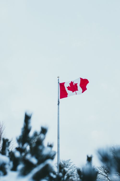 Free Canadian flag waving on a flagpole against a clear winter sky, symbolizing patriotism. Stock Photo