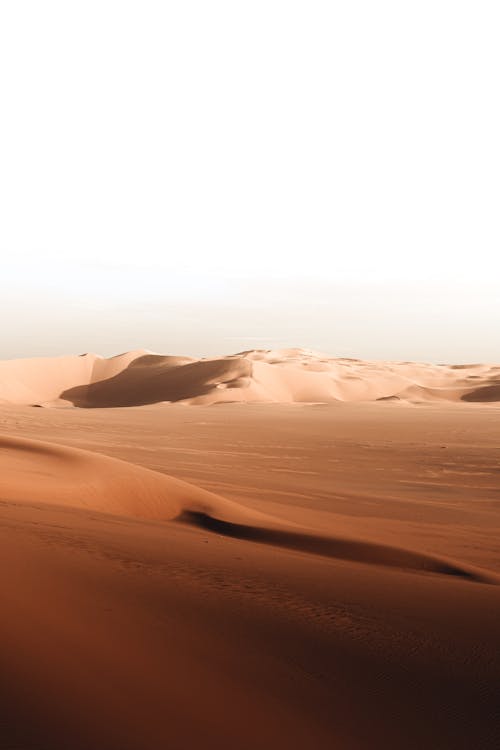 Sand Dunes in the Desert