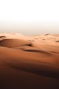 White Sand Under White Sky