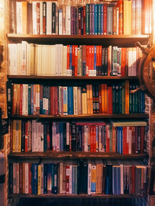 Free A vibrant and diverse collection of books on a wooden shelf, showcasing literature and knowledge. Stock Photo