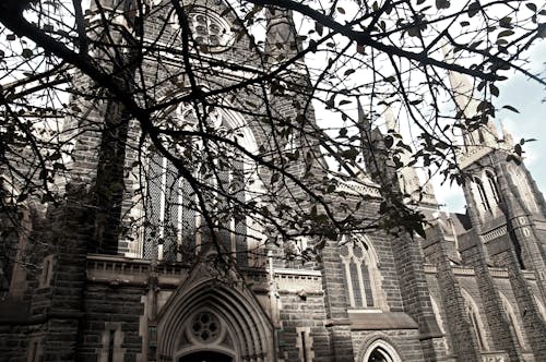 Kostenloses Stock Foto zu baum, kirche