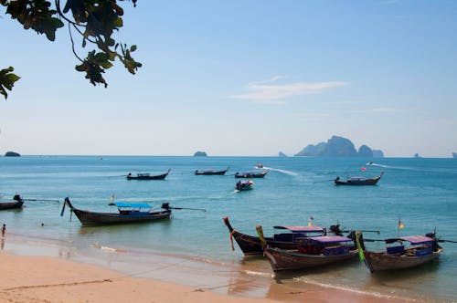 Základová fotografie zdarma na téma člun, Krabi, moře