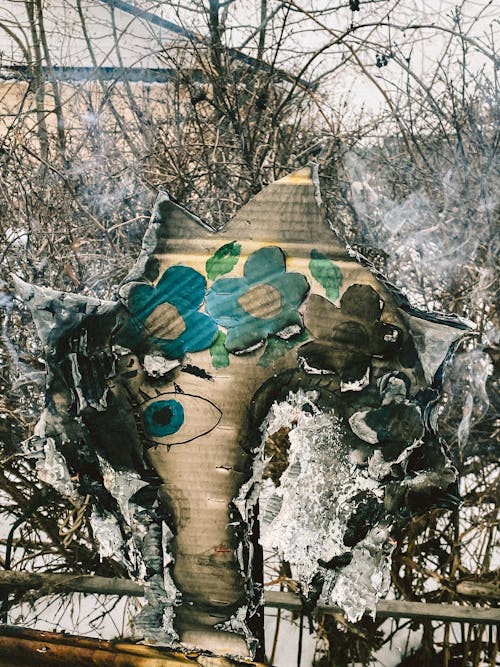 Безкоштовне стокове фото на тему «барвистий, вертикальні постріл, дерева»