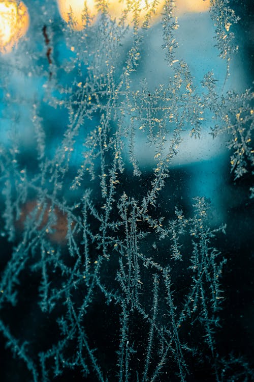 Fotobanka s bezplatnými fotkami na tému chladný, okná, okno