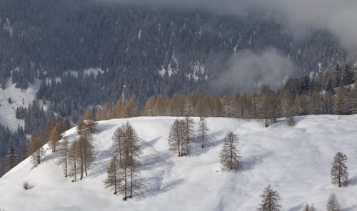 冬季仙境, 多洛米蒂山脈 的 免费素材图片